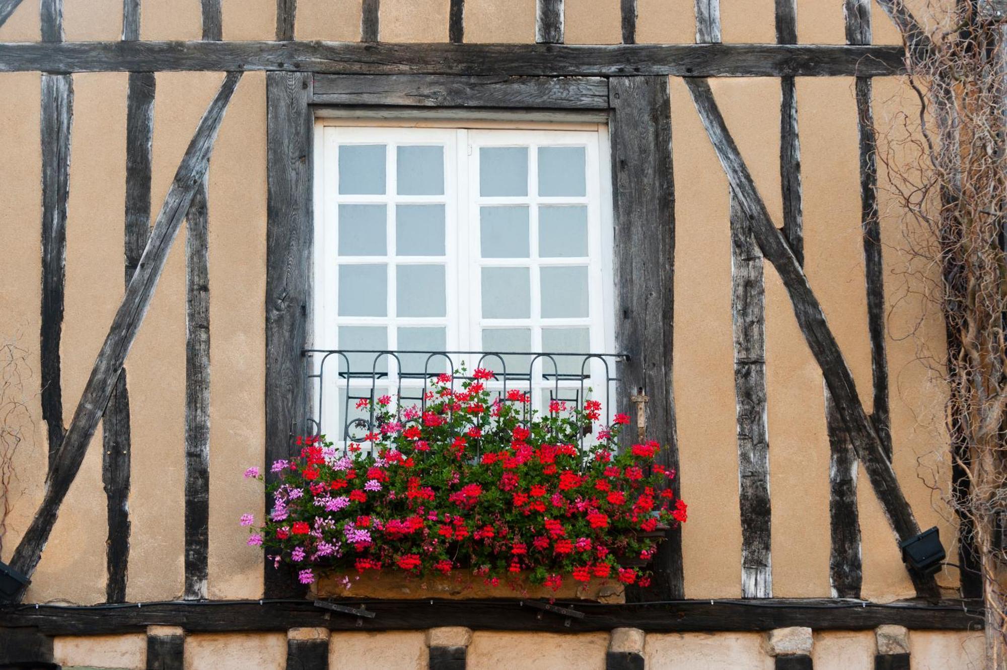 Chambres D'Hote - Maison Des Ecrivains - 50 M De La Cathedrale Et Place Des Jacobins Льо Ман Екстериор снимка